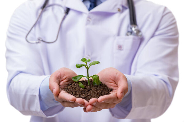 Scientist with green seedling in glass isolated on white