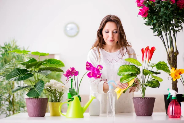 在家里照看植物的年轻妇女 — 图库照片