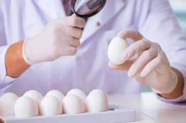 Besin uzmanı gıda ürünlerini laboratuarda test ediyor.