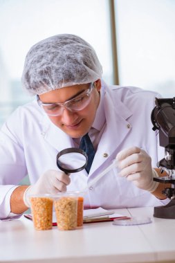 Besin uzmanı gıda ürünlerini laboratuarda test ediyor.