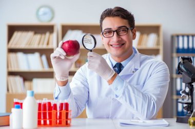 Bilim adamı organik meyve ve sebzeler üzerinde çalışıyor.