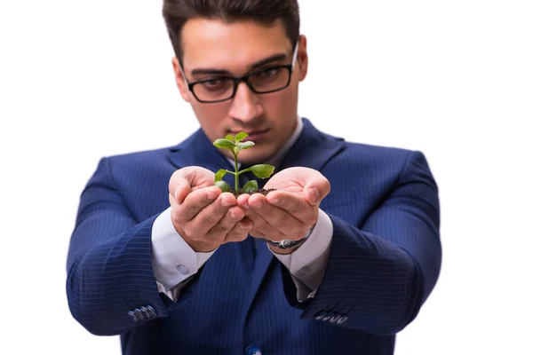 Geschäftsmann hält grüne Sprossen isoliert auf weißem Grund — Stockfoto