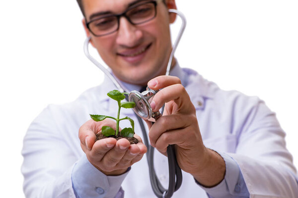 Ученый с зелеными саженцами в стекле изолирован на белом