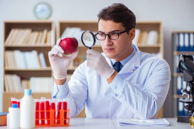 Bilim adamı organik meyve ve sebzeler üzerinde çalışıyor.