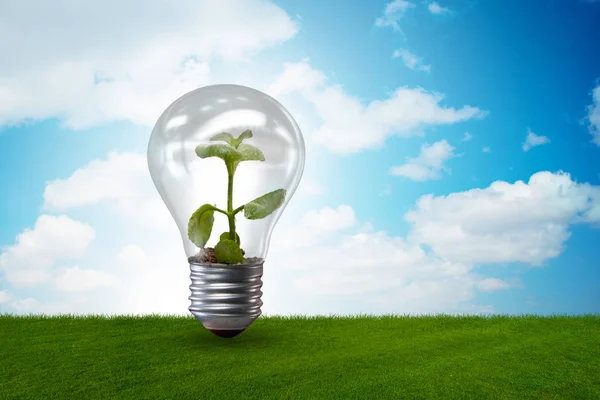 Lampa i grön miljö koncept - 3d rendering — Stockfoto