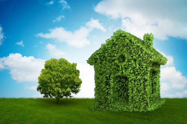 Green house y árbol en concepto de vida ecológica - 3d renderizado — Foto de Stock