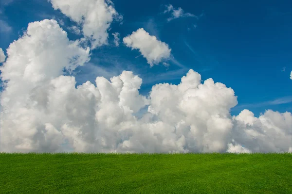 Molnig himmel och grönt gräs i naturen koncept — Stockfoto