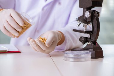 Besin uzmanı gıda ürünlerini laboratuarda test ediyor.