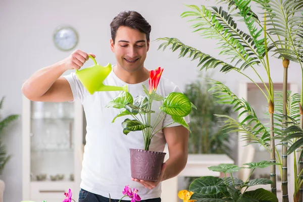 Young man in gardening concept at home — Stock Photo, Image