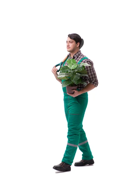 Jeune homme jardinier isolé sur blanc — Photo