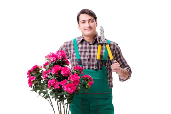 Genç bahçıvan beyazı izole etmiş.