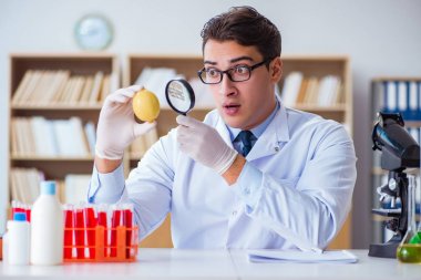 Bilim adamı organik meyve ve sebzeler üzerinde çalışıyor.