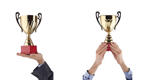 Collage de hombre de negocios recibiendo premio — Foto de Stock