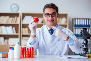 Bilim adamı organik meyve ve sebzeler üzerinde çalışıyor.