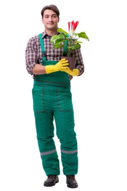 Genç bahçıvan beyazı izole etmiş.