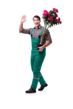 Genç bahçıvan beyazı izole etmiş.