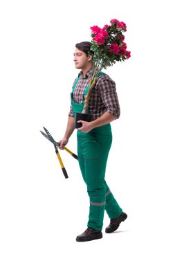 Genç bahçıvan beyazı izole etmiş.