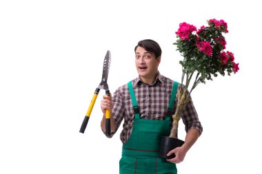 Genç bahçıvan beyazı izole etmiş.