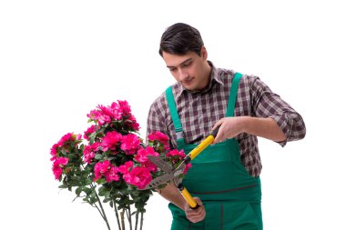 Genç bahçıvan beyazı izole etmiş.