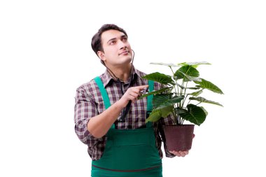 Genç bahçıvan beyazı izole etmiş.