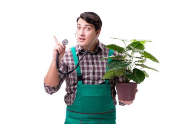 Genç bahçıvan beyazı izole etmiş.