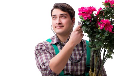 Genç bahçıvan beyazı izole etmiş.