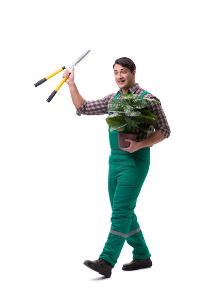 Jeune homme jardinier isolé sur blanc — Photo