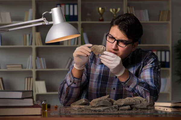 Arkeolog arbetar sent på kvällen på kontoret — Stockfoto
