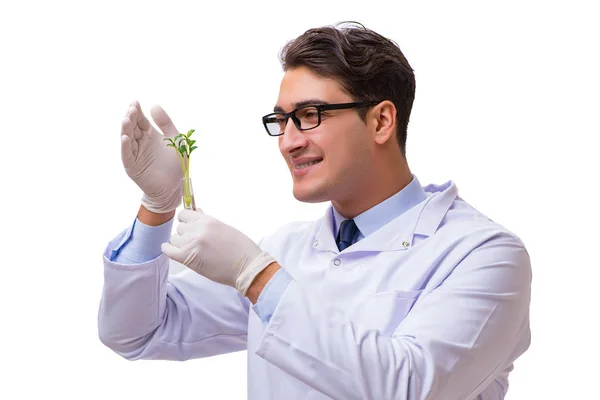 Wetenschapper met groene zaailing in glas geïsoleerd op wit — Stockfoto