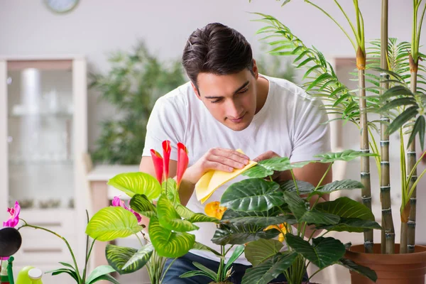 Молодой человек в садоводстве концепции дома — стоковое фото