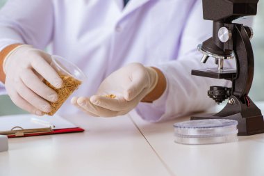 Besin uzmanı gıda ürünlerini laboratuarda test ediyor.