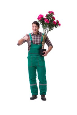 Genç bahçıvan beyazı izole etmiş.