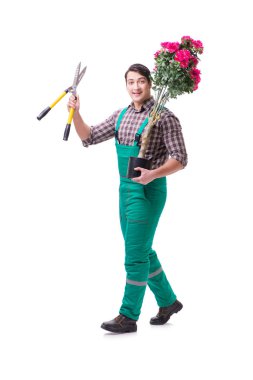 Genç bahçıvan beyazı izole etmiş.