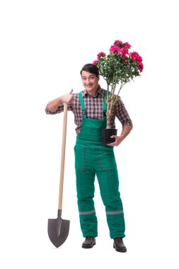 Genç bahçıvan beyazı izole etmiş.