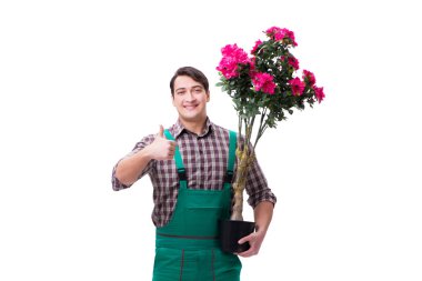 Genç bahçıvan beyazı izole etmiş.