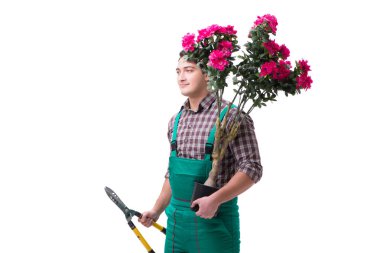 Genç bahçıvan beyazı izole etmiş.