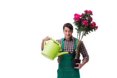 Genç bahçıvan beyazı izole etmiş.