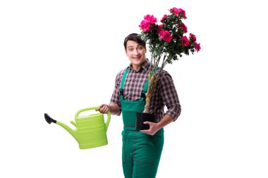 Genç bahçıvan beyazı izole etmiş.