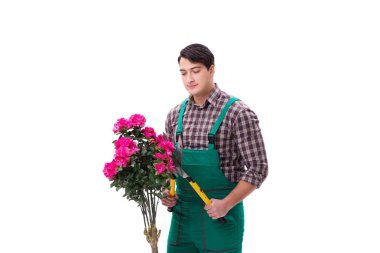 Genç bahçıvan beyazı izole etmiş.