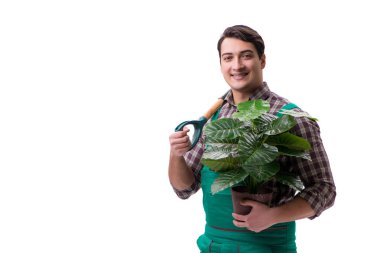 Genç bahçıvan beyazı izole etmiş.