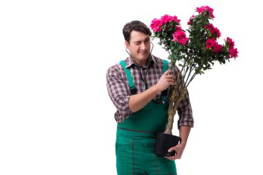 Genç bahçıvan beyazı izole etmiş.