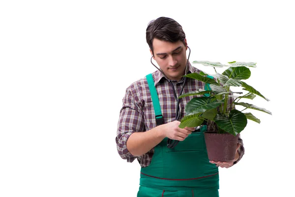 Jeune homme jardinier isolé sur blanc — Photo