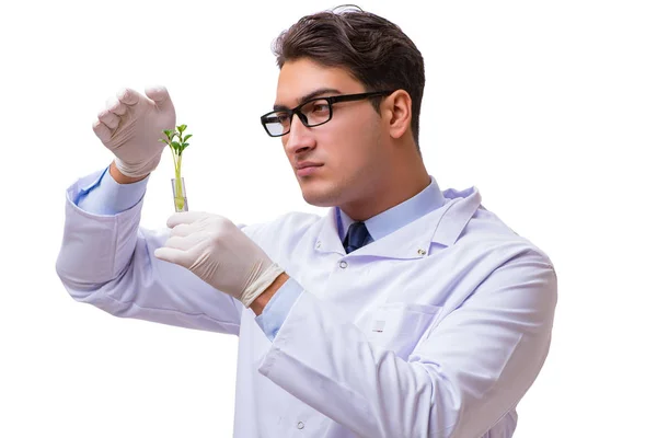 Forskare med grön planta i glas isolerad på vitt — Stockfoto