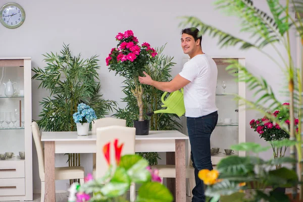 Young man in gardening concept at home — Stock Photo, Image