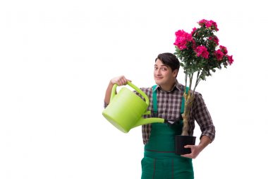 Genç bahçıvan beyazı izole etmiş.