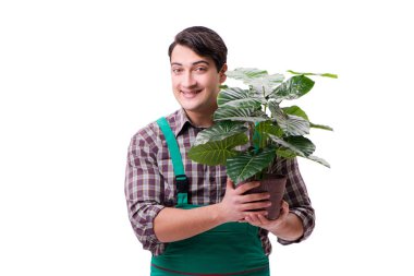 Genç bahçıvan beyazı izole etmiş.