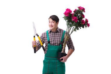 Genç bahçıvan beyazı izole etmiş.