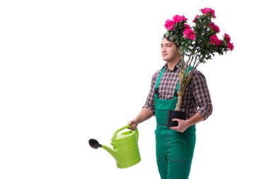 Genç bahçıvan beyazı izole etmiş.