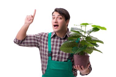 Genç bahçıvan beyazı izole etmiş.