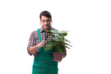 Genç bahçıvan beyazı izole etmiş.